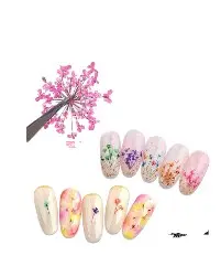 DECORACION NATURALEZA MUERTA IND